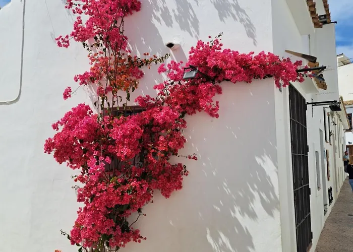 Apartamento Atico Roof