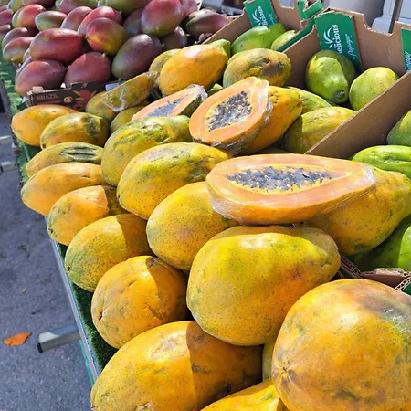 Apartamento Atico Roof *