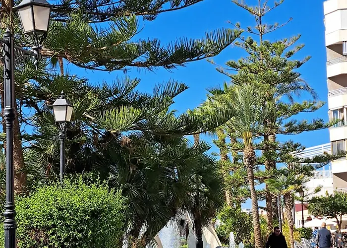 Atico Roof شقة تورّيفيِخا