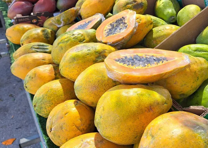 Apartment Atico Roof *